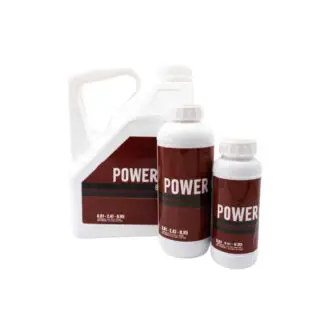 Power Si Bloom