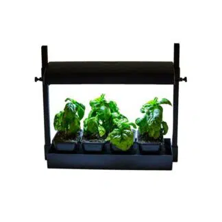 Sunblaster T5HO Grow Light Garden Micro - Black