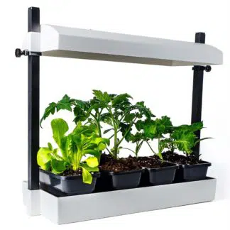 Sunblaster T5HO Grow Light Garden Micro - White