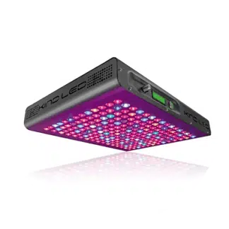 LED Fixtures