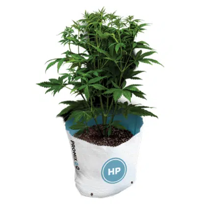 ProMix Pro-Mix HP Open Top Grow Bag Growing Medium with Mycorrhizae - Image 3