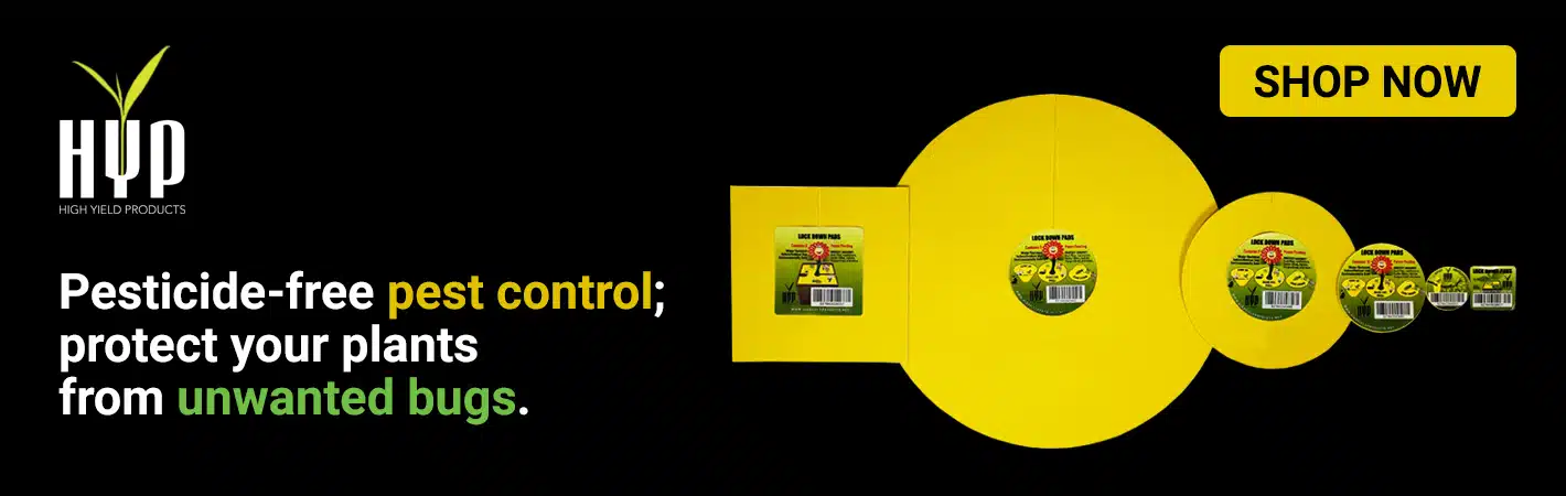 high yield products desktop