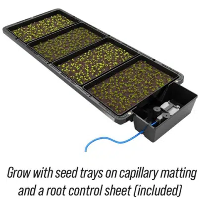 seedtray