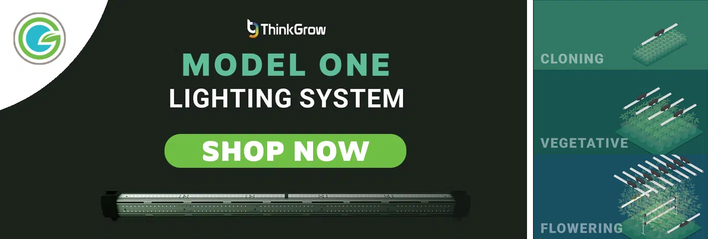 05-24-gpw-thinkgrow-model-one-banner-desktop