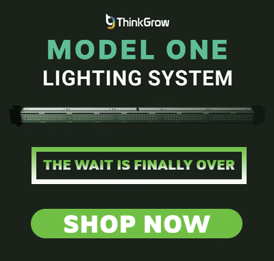 05-24-gpw-thinkgrow-model-one-banner-mobile